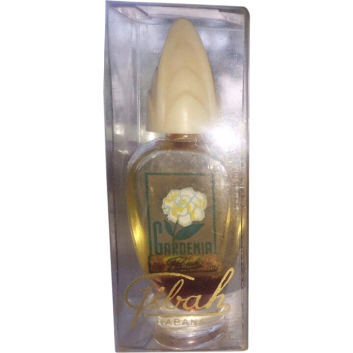 Gardenia by Fibah perfume bottle