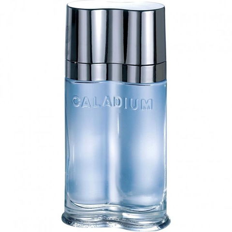 Caladium by Yves de Sistelle perfume bottle