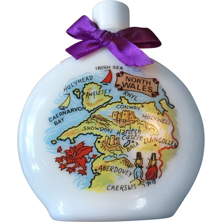 Fragrance of Welsh Violets by Aidees perfume bottle