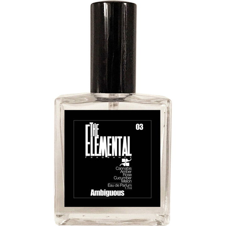 Ambiguous by The Elemental Fragrance perfume bottle
