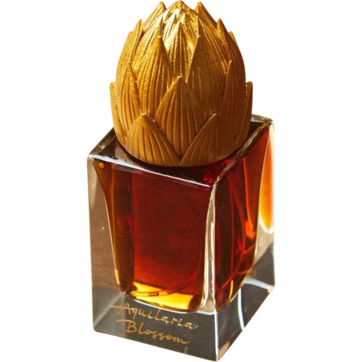 Aquilaria Blossom by Areej Le Doré perfume bottle
