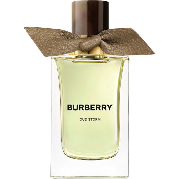 Oud Storm by Burberry perfume bottle