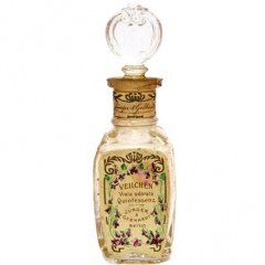 Veilchen Quintessenz by Jünger & Gebhardt / Patrizier Haus Köln perfume bottle