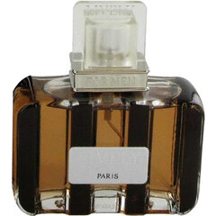 Lively Tweed by Parfums Lively perfume bottle