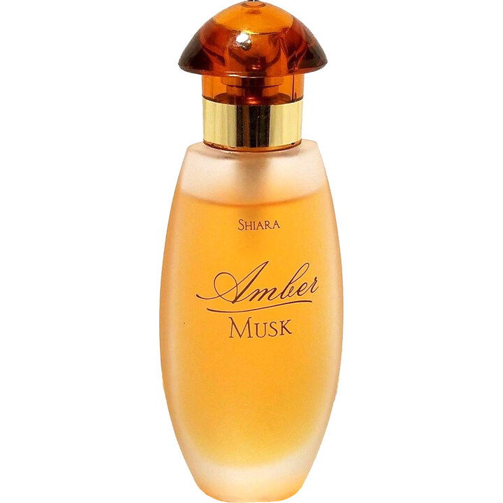 Amber Musk by Shiara perfume bottle