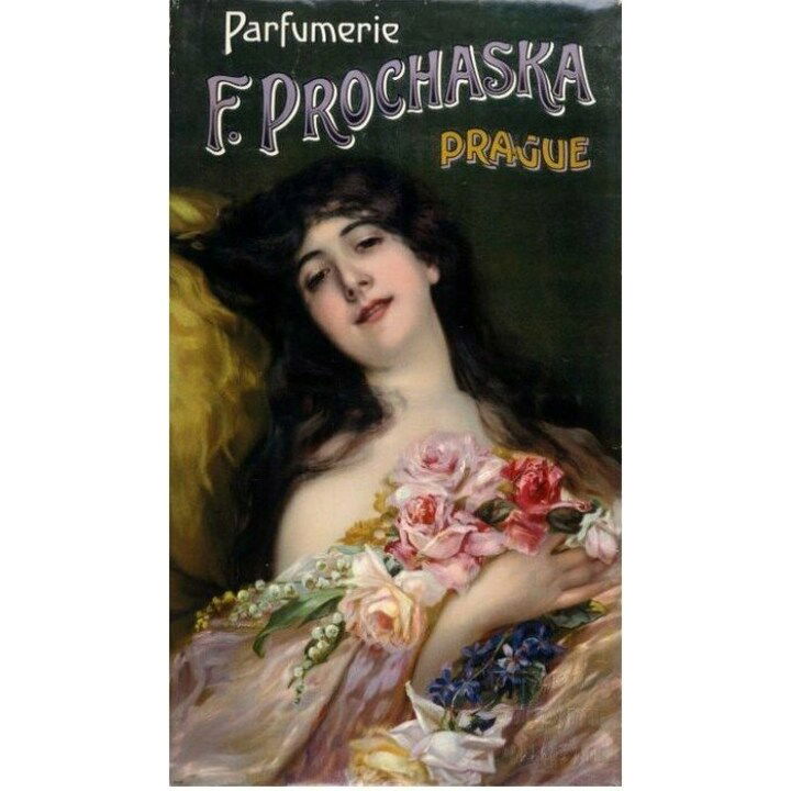 Rococo by Prochaska / Proka