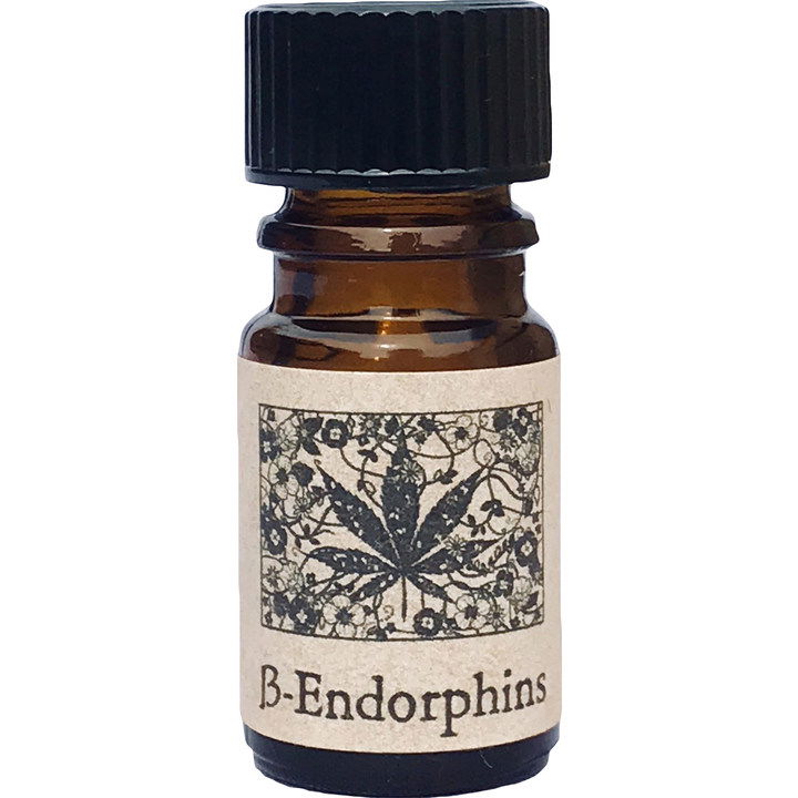 β-Endorphins by Arcana Wildcraft perfume bottle