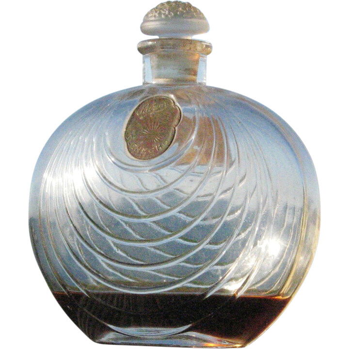 Glenecho by Solon Palmer perfume bottle