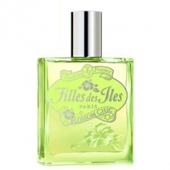 Blossom Chic by Filles des Iles perfume bottle
