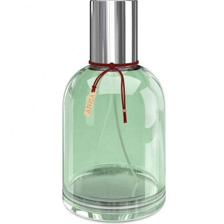 Green by Anna / A.I.J. perfume bottle