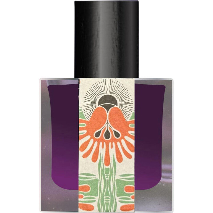 Cœr de Minuit by Jinx perfume bottle