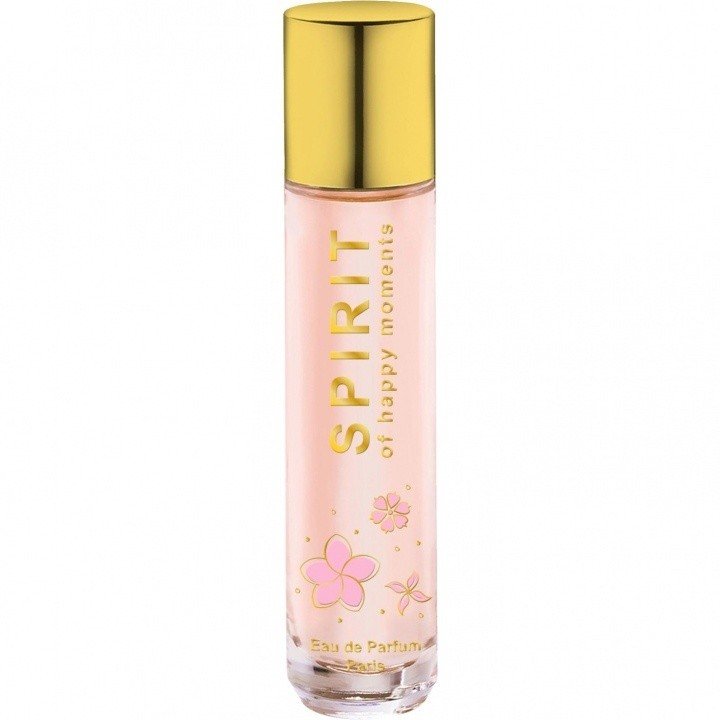 Spirit of Happy Moments