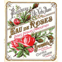 Eau de Roses by Marcus Spurway perfume bottle