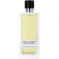 Sélection de Mémoires - Esprit de Gingembre pour Femme by Angel Schlesser perfume bottle