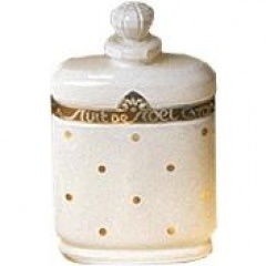 Nuit de Noël - Pillow by Caron perfume bottle