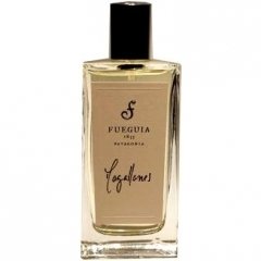 Magallanes by Fueguia 1833 perfume bottle