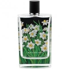 White Narcisse by Nest perfume bottle