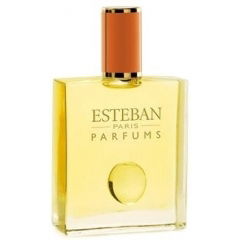 Tourbillon de Thé by Esteban perfume bottle