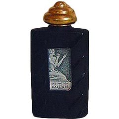 Distinction by Callistè perfume bottle