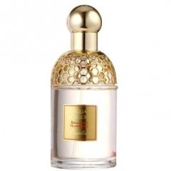 Aqua Allegoria Bouquet Numero 1 by Guerlain perfume bottle