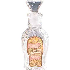 Naila by Prochaska / Proka perfume bottle