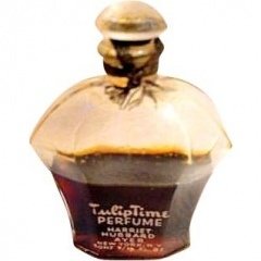 Tulip Time by Ayer perfume bottle