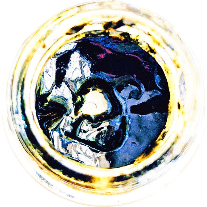 Remote Viewer (Perfume Oil) by Wild Veil Perfume perfume bottle
