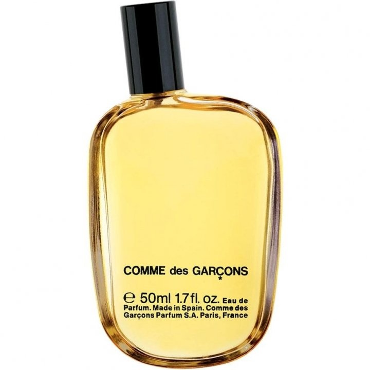 Comme des Garçons (1994) EDP by Comme des Garçons perfume bottle