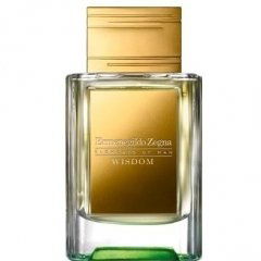 Elements of Man - Wisdom by Ermenegildo Zegna perfume bottle