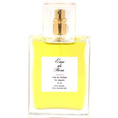 Eau de Rose by Dupetit perfume bottle