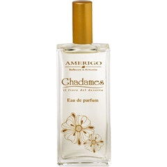 Ghadames by Amerigo perfume bottle