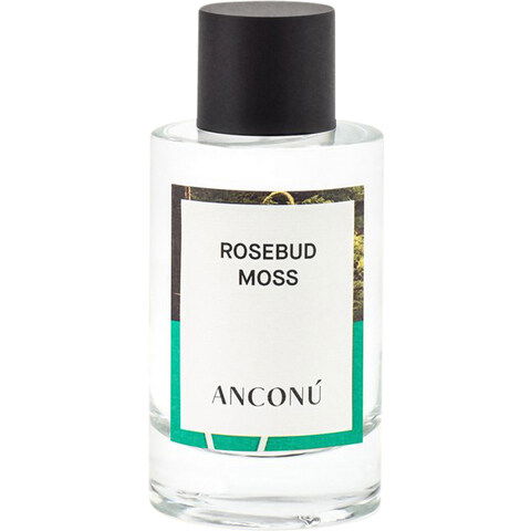 Rosebud Moss by Anconú perfume bottle