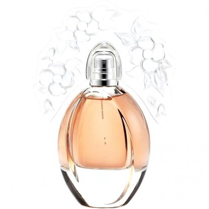 One Day In Provence by Reyane Tradition perfume bottle