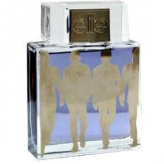 Attitude Silver for Him by Elite perfume bottle