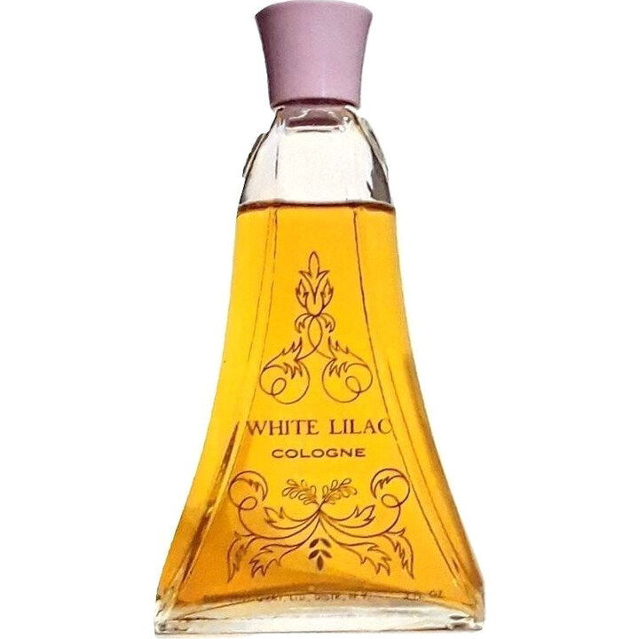 White Lilac (Cologne) by Dorothy Gray perfume bottle