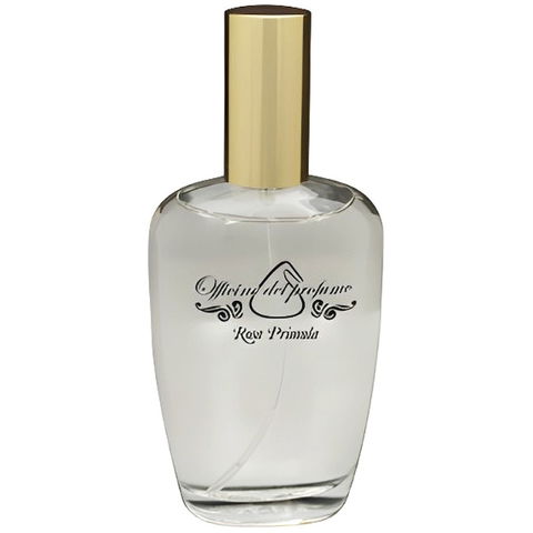 Rosa Primula by Marcoccia / Officine del Profumo perfume bottle