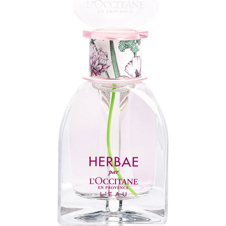 Herbae L'Eau by L'Occitane en Provence perfume bottle