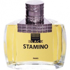 Stamino Black by Prime Collection perfume bottle