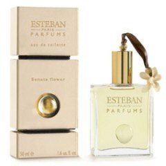 Sonata Flower by Esteban perfume bottle