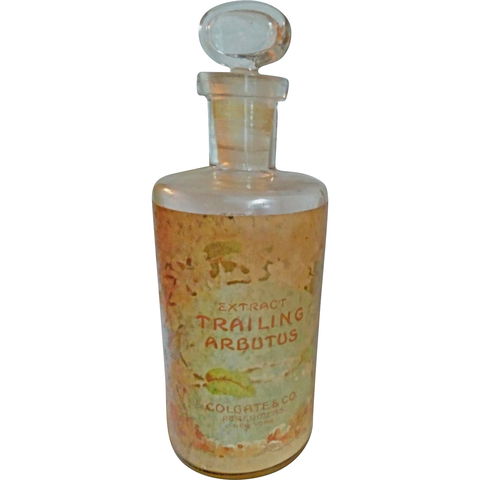 Trailing Arbutus by Colgate & Company perfume bottle