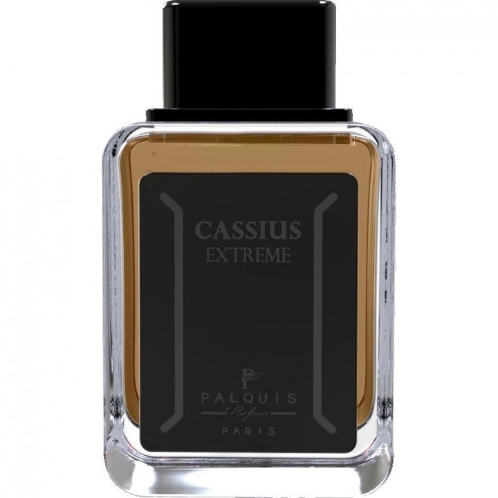 Cassius Extreme by Palquis perfume bottle
