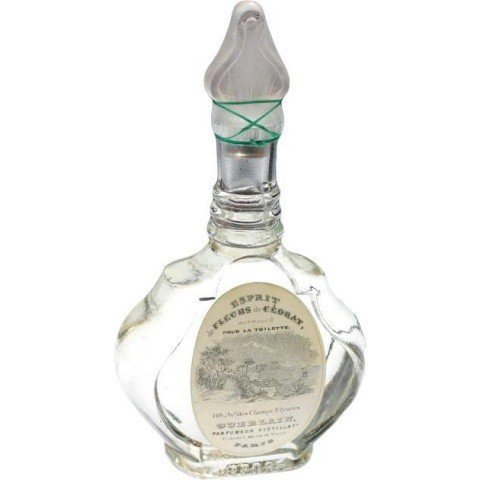 Esprit de Fleurs de Cédrat by Guerlain perfume bottle