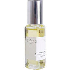 Immersed in Central Park (Perfume Oil) by Coax perfume bottle
