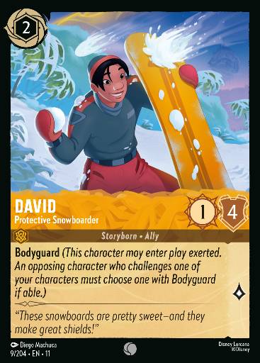 David - Protective Snowboarder 9/204