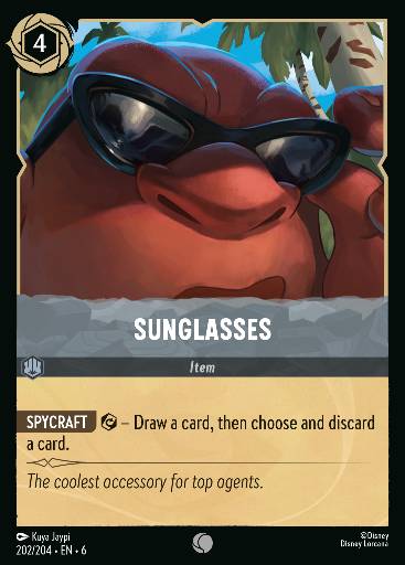 Sunglasses 202