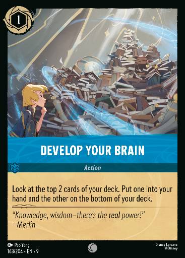 Develop Your Brain 163
