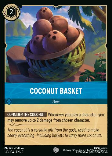 Coconut Basket 169