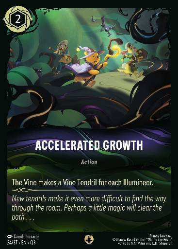 Accelerated Growth 24