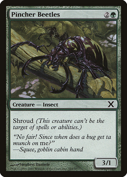 Pincher Beetles 285