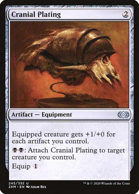 Cranial Plating 245